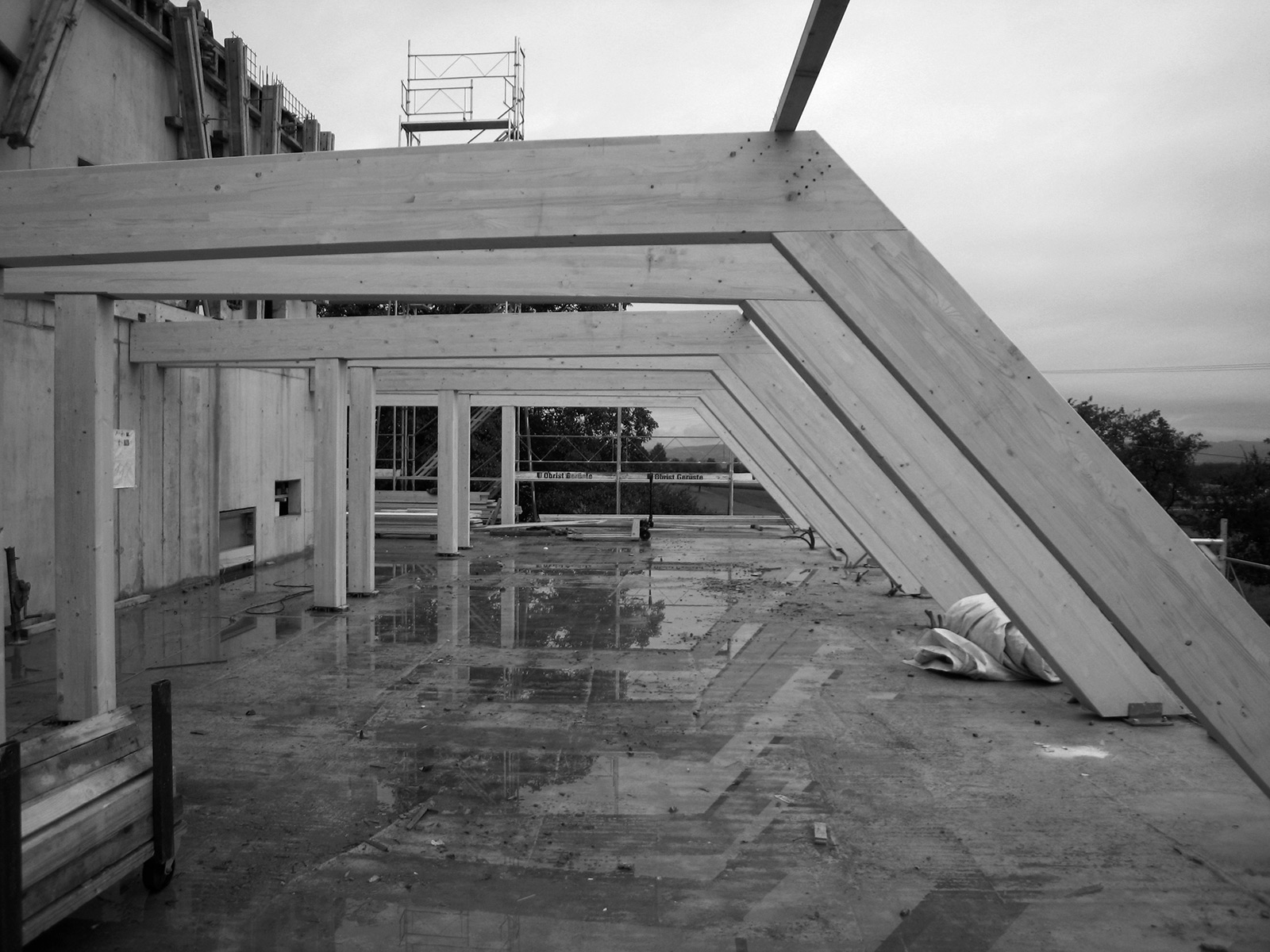 wiggwil farm, roof construction